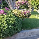 Oleandri * جيارديني ناكسوس